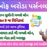 બેંક ઓફ બરોડા પર્સનલ લોન